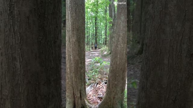 When I am not in the gym, I am out hiking with Sophie #hiking #healthylifestyle #dog