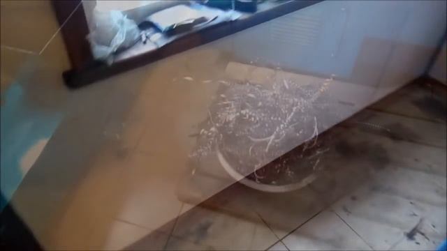 пресс для стружки .готов...видео обзор.. смотреть онлайн