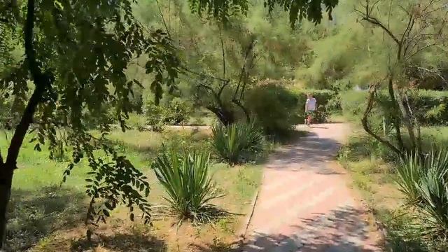 Ейск?Ремонт в Моревке. Пляж, медузы жалят, божьи коровки кусаются... Наши куры едят медуз...