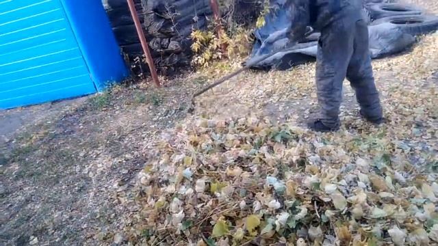 Убираем листья тополей смотреть онлайн