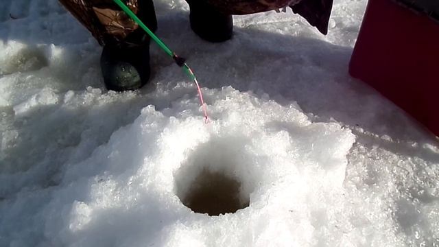 Язь-рыба моей мечты :)
