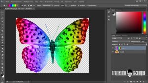 Уроки фотошопа  Как сделать объект разноцветным