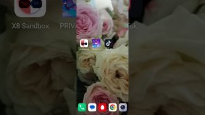 как убрать ошибку в приватке в 2