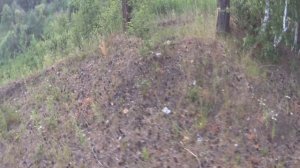 Стелс 700 по лесу