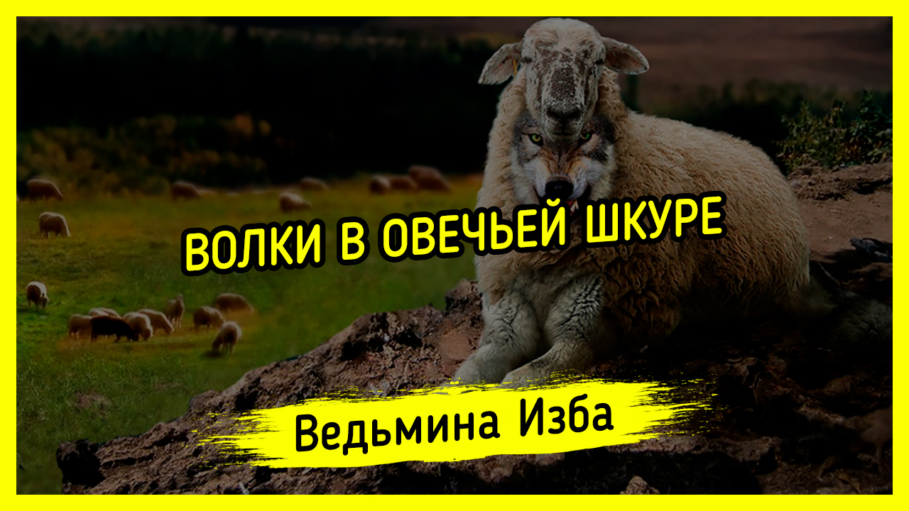 ВОЛКИ В ОВЕЧЬЕЙ ШКУРЕ. #ВЕДЬМИНАИЗБА ▶️ #МАГИЯ