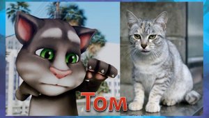 😻ТОМ И АНДЖЕЛА В РЕАЛЬНОЙ ЖИЗНИ 🐈 ВИДЕО ДЛЯ ДЕТЕЙ 🐱
