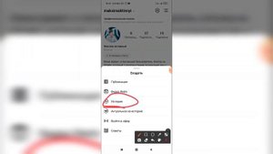 Как найти эффекты в Инстаграме? Где искать разные эффекты в Instagram?