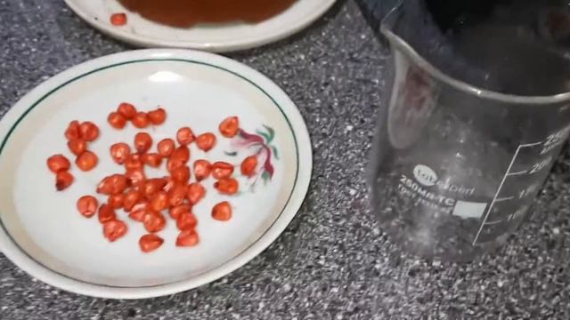 Протравитель для семян кукурузы.
