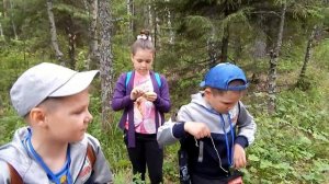 Уроки выживания в лесу для детей.