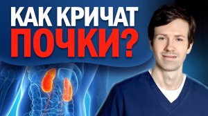 10 признаков больных почек. Эти симптомы нельзя игнорировать…