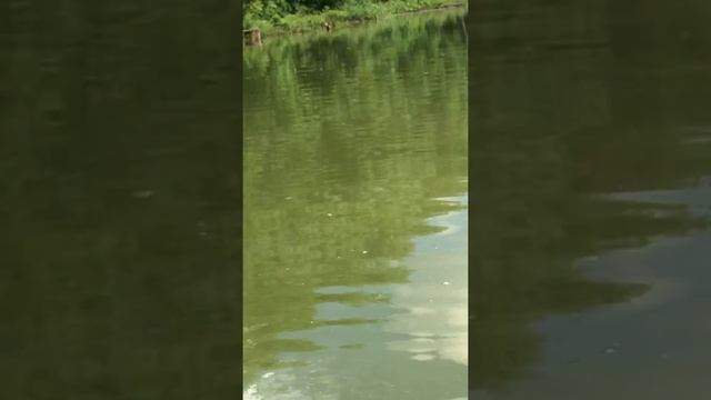 Известкование водоема ,,кайфовое местечко,,