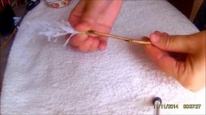 Новогодний декор. Делаем с детьми заснеженные веточки.