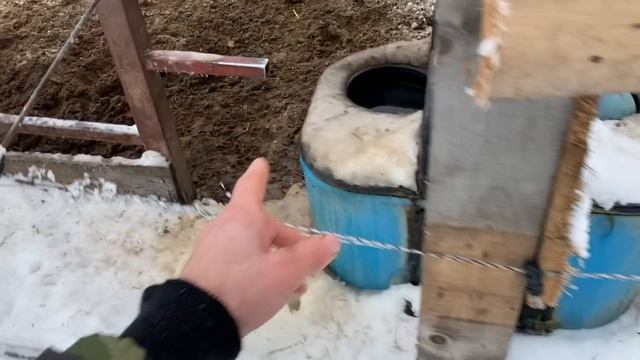 Содержание молодняка КРС в КФХ "Герефорд"