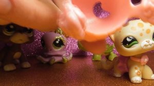 LPS Новые пэты и аксессуары