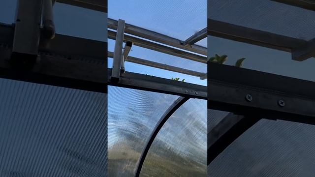 Теплица по Митлайдеру