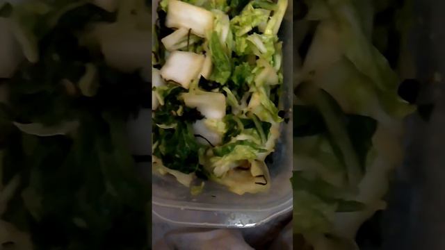 白菜の塩昆布★ポン酢、生姜、オウバ、ごま油、塩昆布でもみもみ★ смотреть онлайн