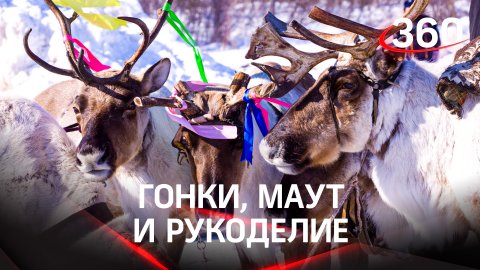 День оленевода в Красноярске: как отмечают?
