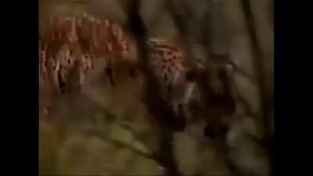 Самые хищные животные на Земле