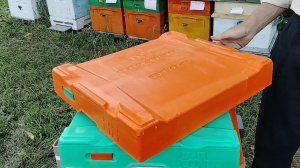 КОВАРНЫЙ  ВРАГ как  спасти соты