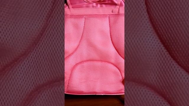 Школьный рюкзак для девочки "Эльза" видео обзор смотреть онлайн