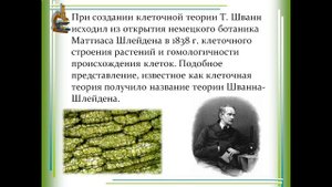 Клетка история изучения  Клеточная теория