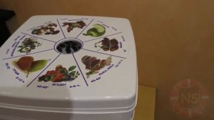 Сушилка для грибов и ягод Дива Люкс отзыв Сушить грибы в электросушилке проще простого