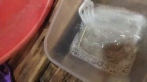 слайм из шампуня, воды, и крахмала. 😘