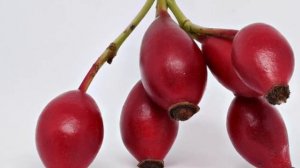 ШИПОВНИК не для всех полезен, он может НАВРЕДИТЬ, если у вас... Что творит шиповник?