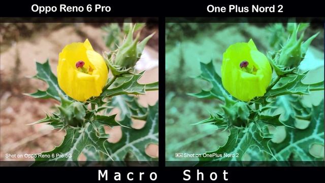 Oppo Reno 6 Pro vs Oneplus Nord 2 | Camera Comparison |Camera Test | | Tech Song | смотреть онлайн