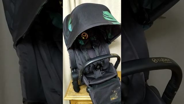 Прогулочный блок Cybex Priam lux birds in paradise 18.03.23 смотреть онлайн