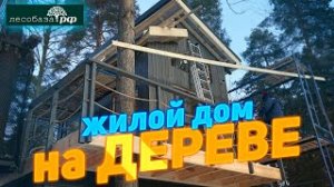 Жилой дом на дереве. Тёплый, с интернетом!