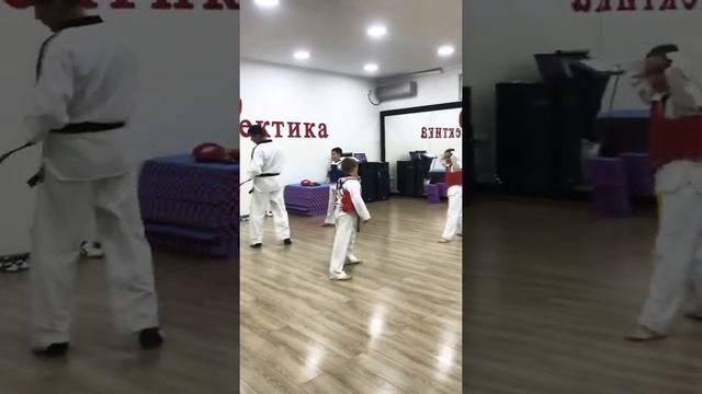 Курсы ТАЭКВОНДО для детей в Бишкеке смотреть онлайн