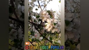 Артур Хасанов