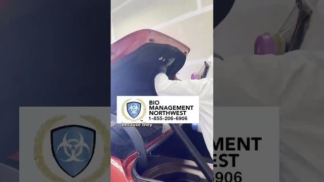 Meth in my car? смотреть онлайн