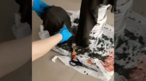 Горшок жасау (горшок для цветов своими руками. A flower pot