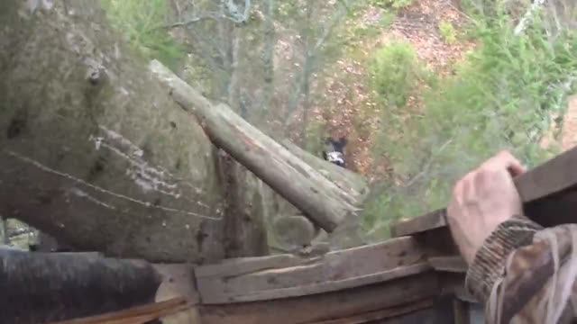 ПРИВАДА НА ЛИСИЦУ С ЛАБАЗОМ 3 ЧАСТЬ... смотреть онлайн