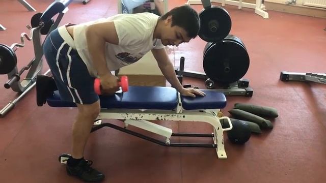 проработка мышц спины и трицепса с гантелью и упором в скамью смотреть онлайн
