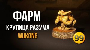 Wukong -  Быстрый Фарм Опыта и Крупиц разума.