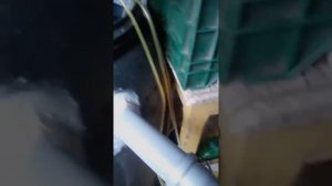 Африканский сом,как хобби.,,и мини УЗВ.