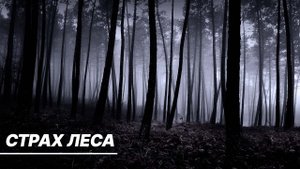 Лес таит в себе много опасностей. Как обезопасить лесной поход с детьми и не заблудиться?