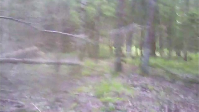 коты приколы наша кошка смотреть онлайн