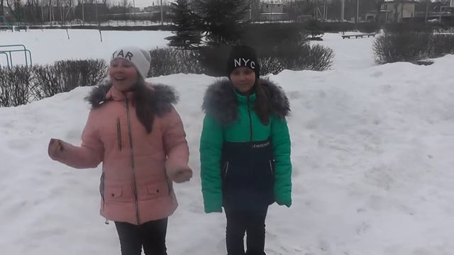 Лаковцева Анастасия 11 лет Стихотворение Пушкин  Зимнее утро