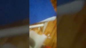 изготовить (вырезать)  угол в  потолочном  плинтусе в 5 сек   ,