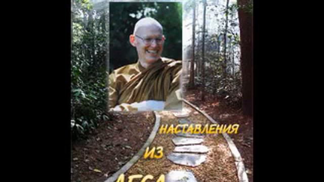 Аджан Сумедхо. Наставления из леса
