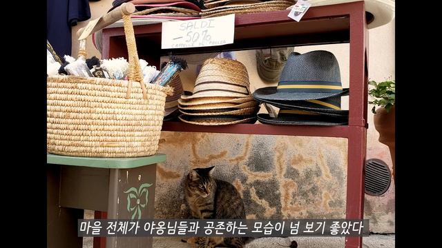 뉴욕 일상 / 새집으로 이사! 나의 20대 이야기, 눈내리는 센트럴파크, 타임스퀘어 밤산책, 브로드웨이 위키드, 갤럭시 s23 울트라 카메라, 이유식, 국제가족, 육아, 브이로그