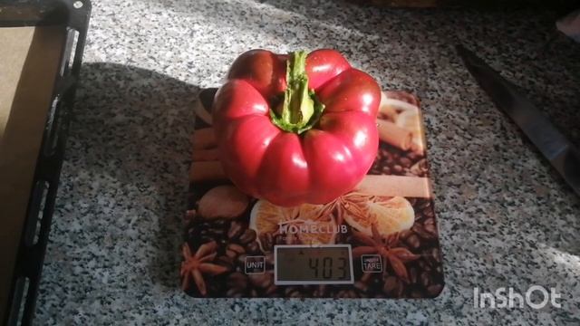 Похудела на 18 кг. 31.08-01.09.21 Влог-мой рацион-опять делаю икру-сумасшедший день! смотреть онлайн