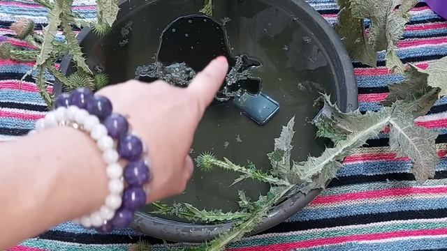Чистка от порч по следам,чистка сердца - ДРЕВА ЖИЗНИ СМЕРТИ И ЗНАНИЯ и сердечных дорог, Анахаты,дом