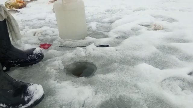 Рыбалка на жерлицы! Активный клев щуки! Флажки горят! ловля 2021-2022! двое суток на каналах! смотреть онлайн