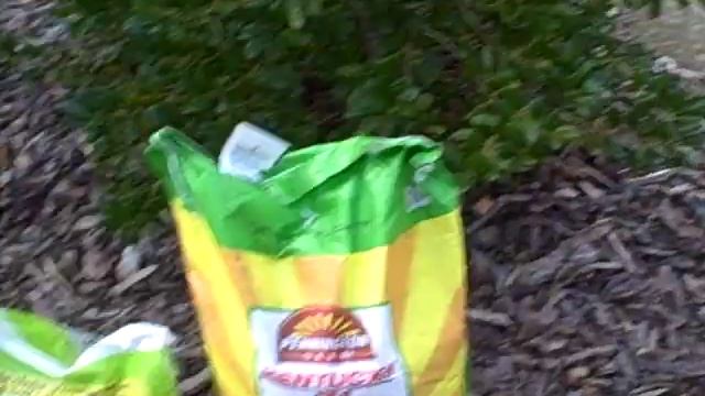 How To Aerate and Seed Lawn Charlotte смотреть онлайн