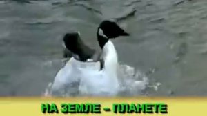 Горы море и холмы